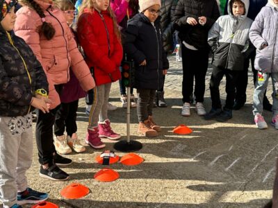 106. Liceul Teoretic Alexandru Rosetti Vidra